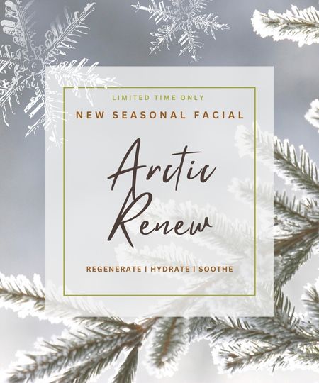 Arctic Renew | Seasonal Facial